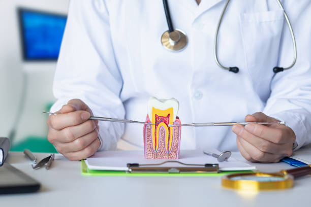 Best Emergency Tooth Extraction in Lenoir City, TN